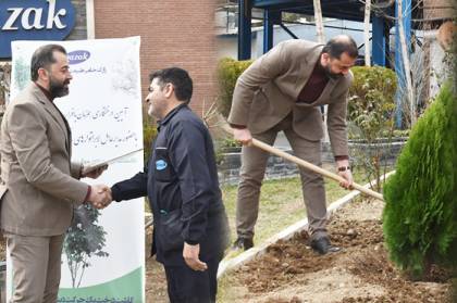 سنت و تقدیر در روز درختکاری / درختی برای آینده