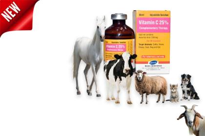 دریافت پروانه ساخت سیتاجکت